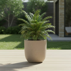 وعاء زراعة لانارك من الألياف الطينية من TGC