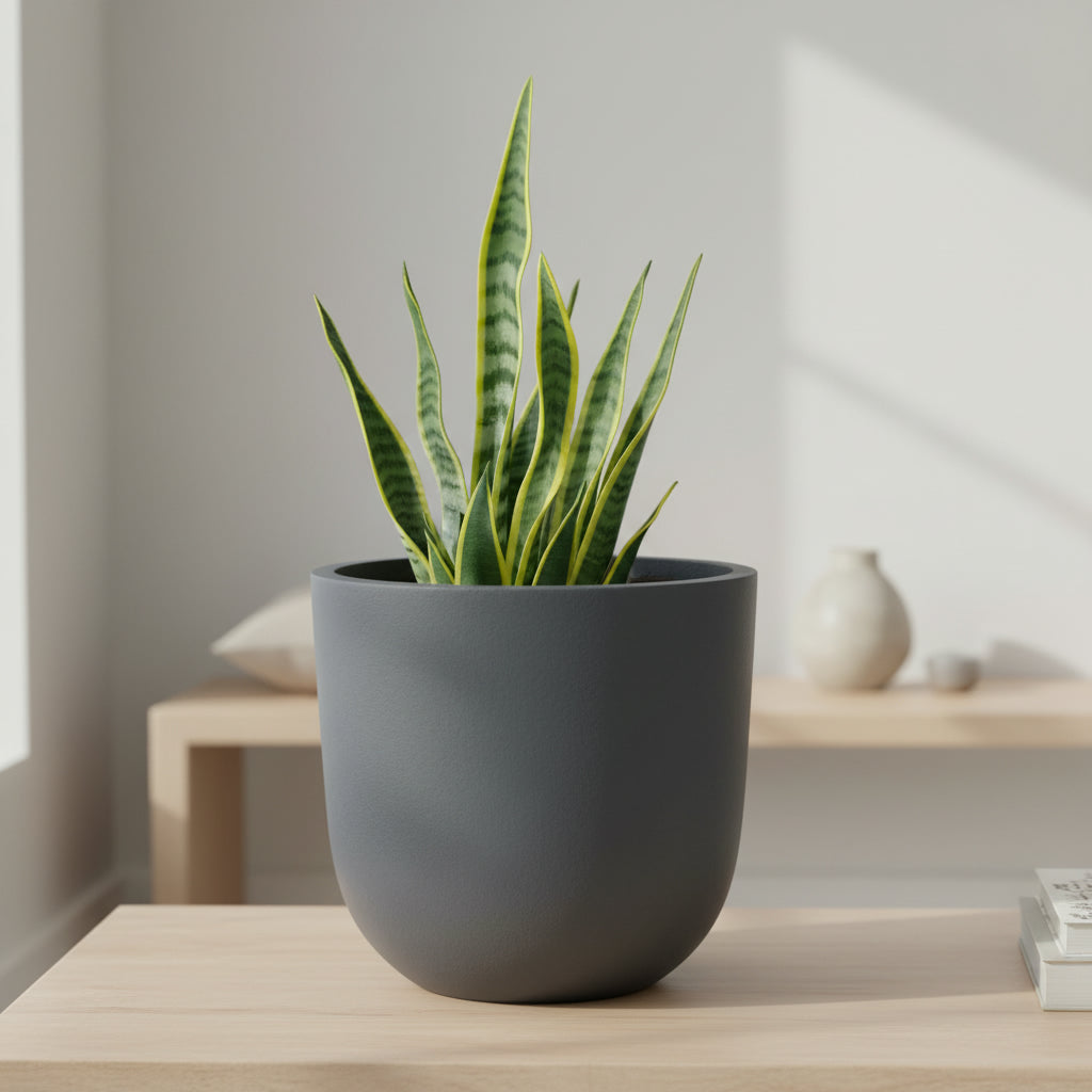 TGC  Fibreclay Lanark  Planter - THE GARDEN CENTRE
