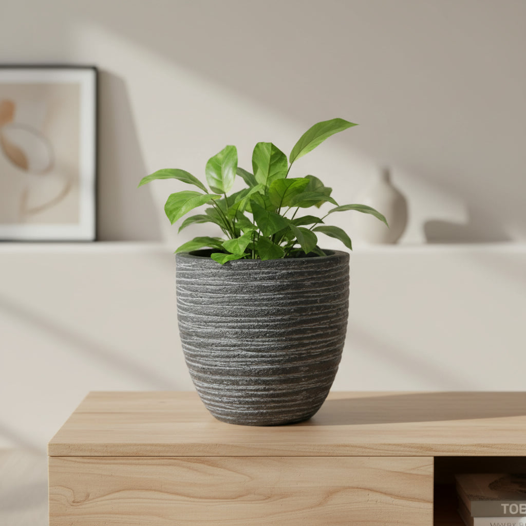 TGC Fibreclay  Vermont Egg Planter - THE GARDEN CENTRE