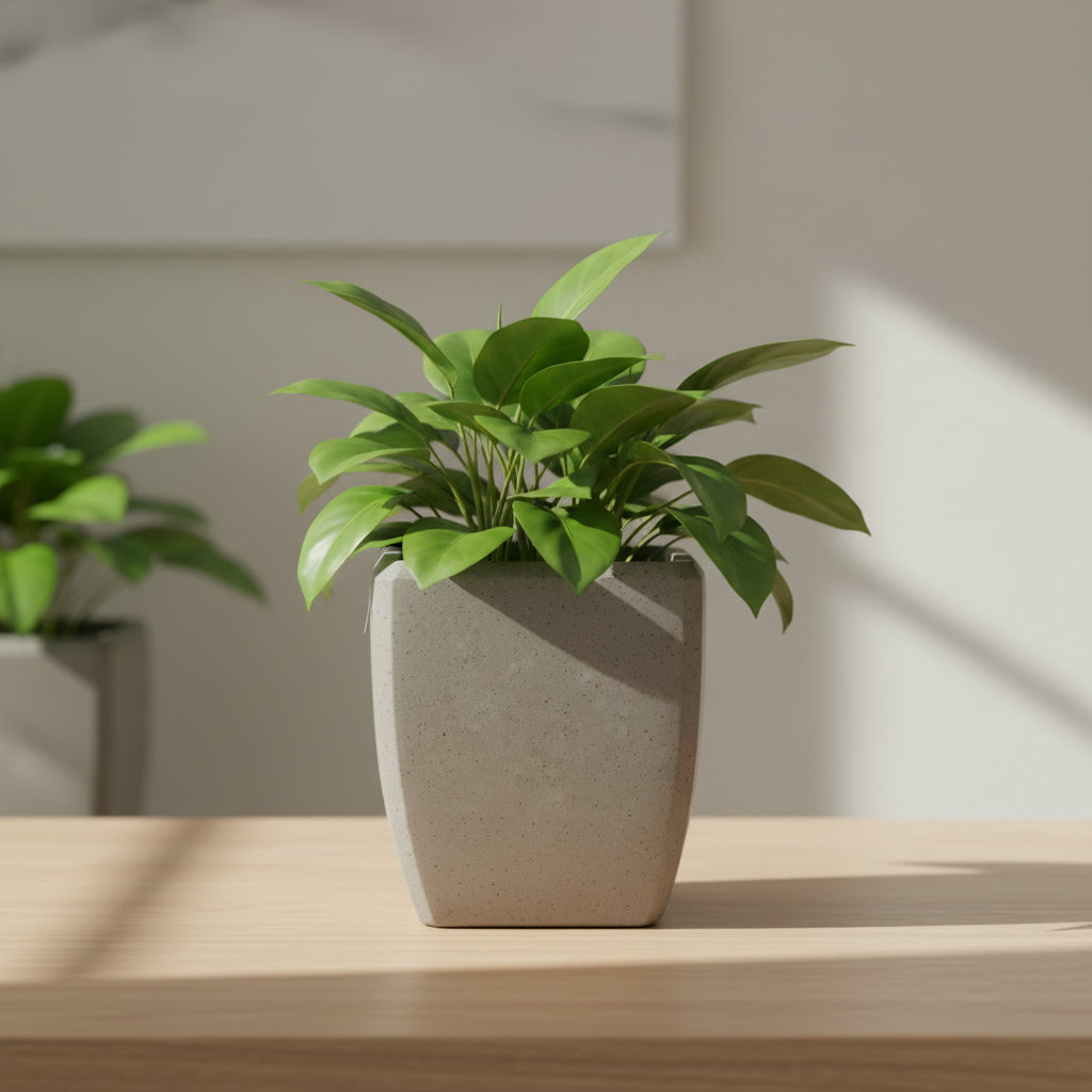 TGC Fibreclay Essense Planter - THE GARDEN CENTRE