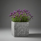 TGC Fibreclay Rustico Square Planter - THE GARDEN CENTRE