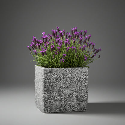 TGC Fibreclay Rustico Square Planter - THE GARDEN CENTRE