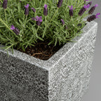 TGC Fibreclay Rustico Square Planter - THE GARDEN CENTRE