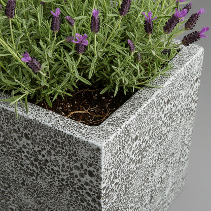 TGC Fibreclay Rustico Square Planter - THE GARDEN CENTRE