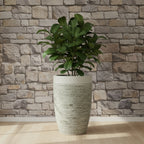 TGC Fibreclay Almelo Tall Planter - THE GARDEN CENTRE