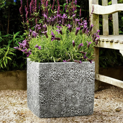 TGC Fibreclay Rustico Square Planter - THE GARDEN CENTRE