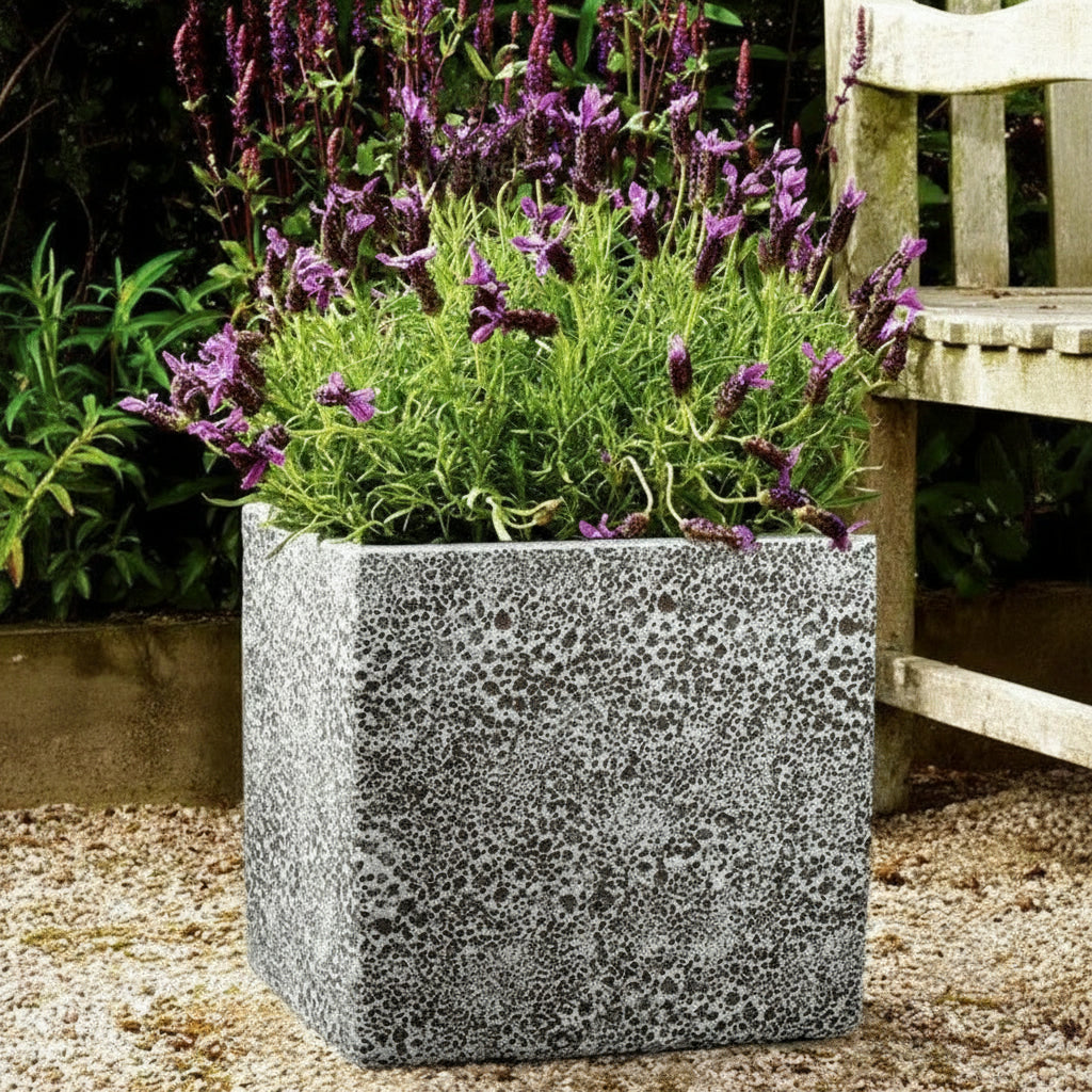 TGC Fibreclay Rustico Square Planter - THE GARDEN CENTRE