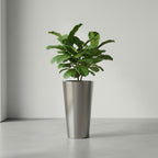 Classic Stainless Steel Pot Conical shape - THE GARDEN CENTRE