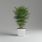 Artevasi Sienna Square Pot - THE GARDEN CENTRE
