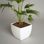 Artevasi Sienna Square Pot - THE GARDEN CENTRE