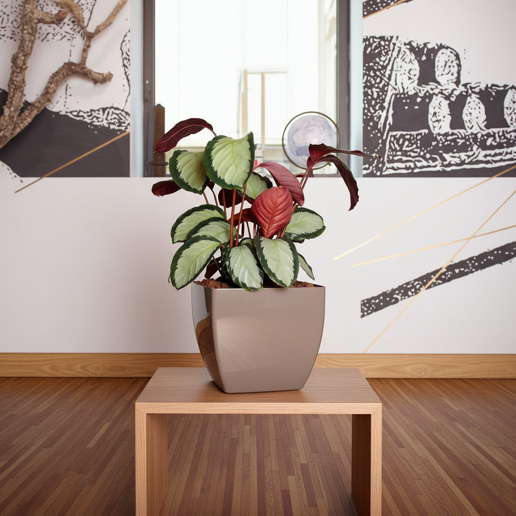 Artevasi Sienna Square Pot - THE GARDEN CENTRE