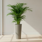 Artevasi Porto High Planter 37cm dia x 80cm high