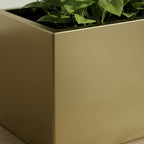 Stainless steel Rectangular Pot Golden - THE GARDEN CENTRE