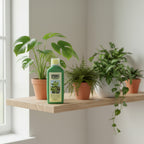 Spring Liquid fertilizer Indoor Plants - THE GARDEN CENTRE