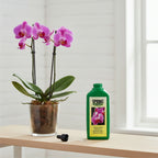 Spring Fertilizer - Orchid - THE GARDEN CENTRE