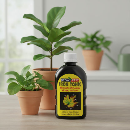 جروفاست آيرونتونيك