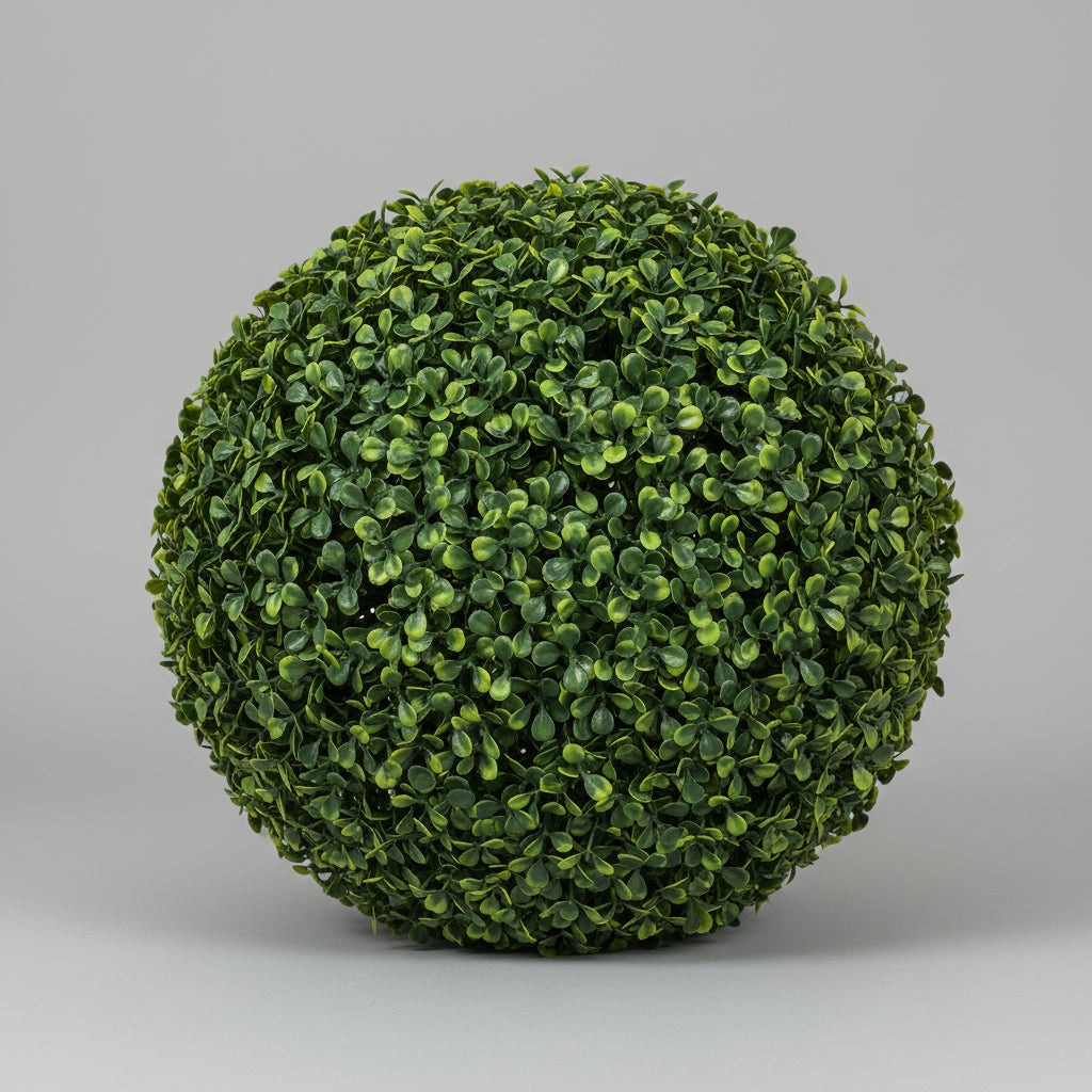 Box Wood Single 40cm Ball - THE GARDEN CENTRE
