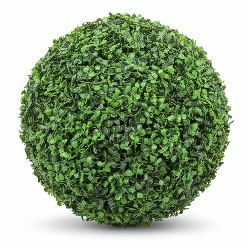 Box Wood Single 40cm Ball - THE GARDEN CENTRE