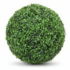 Box Wood Single 40cm Ball - THE GARDEN CENTRE