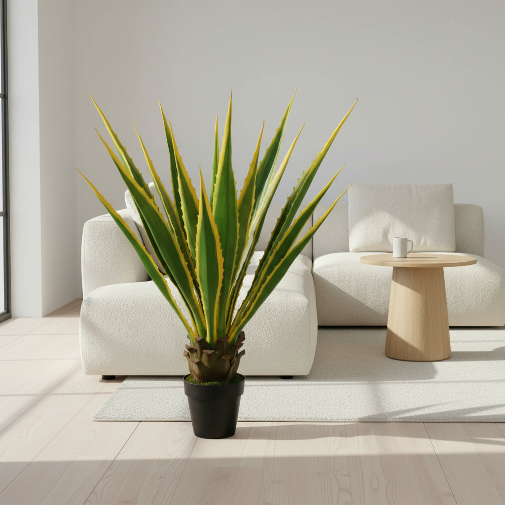 Agave Americana 115cm