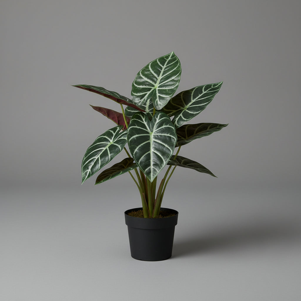 Artificial Alicasia Poly. - THE GARDEN CENTRE