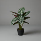 Artificial Alicasia Poly. - THE GARDEN CENTRE