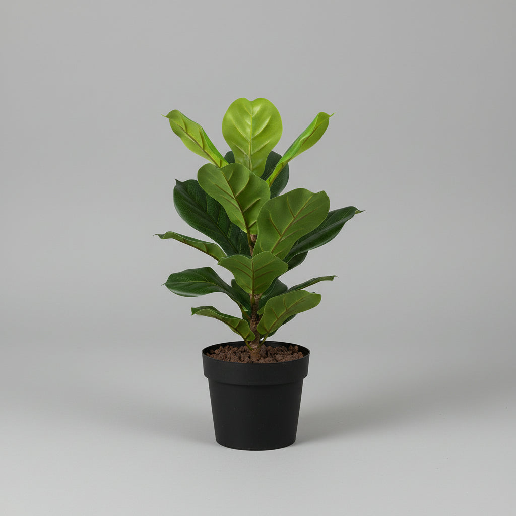 Artificial Ficus Lyrata artificial 40 cms