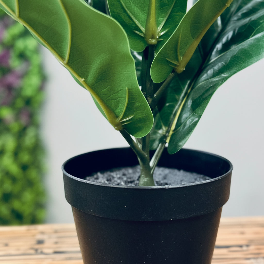 Artificial Ficus Lyrata artificial 40 cms