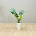 Artificial Monstera Deliciosa - THE GARDEN CENTRE