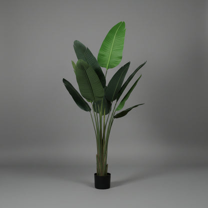 Artificial Travelers Palm