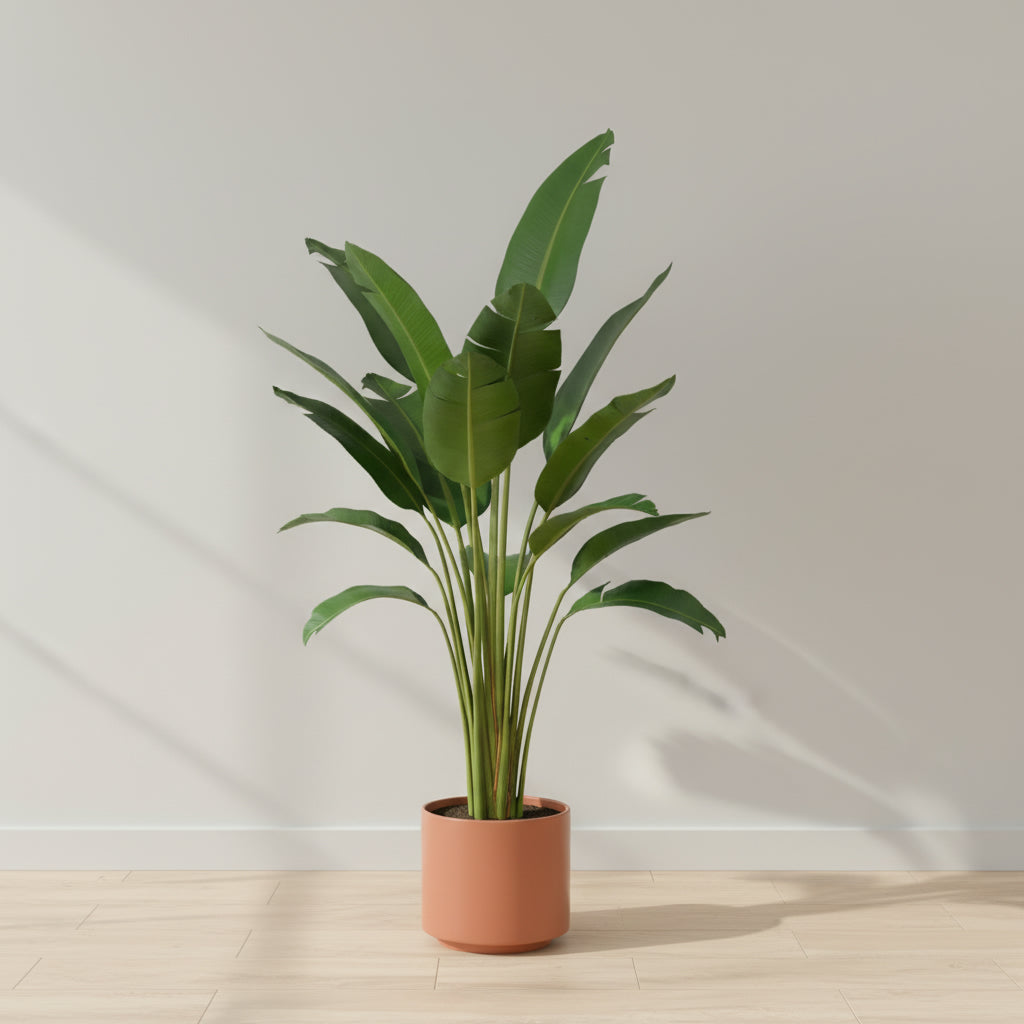 Artificial Travelers Palm