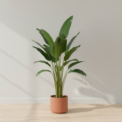 Artificial Travelers Palm