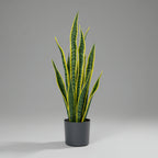 Artificial Snake Plant - THE GARDEN CENTRE