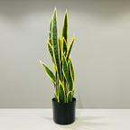 Artificial Snake Plant - THE GARDEN CENTRE