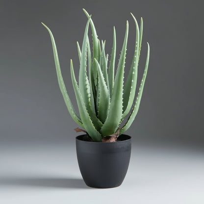 large artificial aloe vera plant Artificial aloe vera – THE GARDEN CENTRE