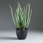 Artificial aloe vera - THE GARDEN CENTRE