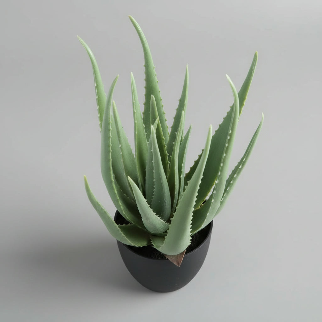 Artificial aloe vera - THE GARDEN CENTRE
