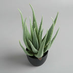 Artificial aloe vera - THE GARDEN CENTRE
