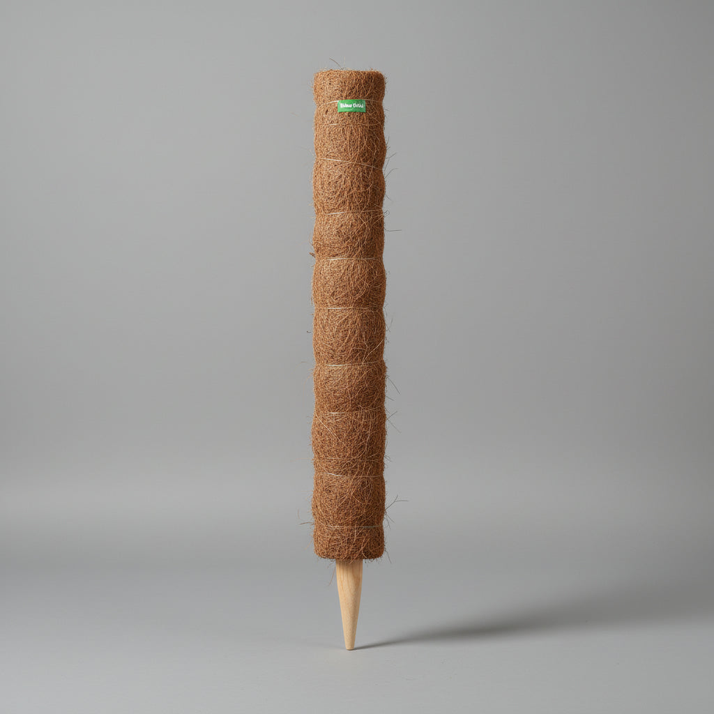 عمود الطحلب 90 سم