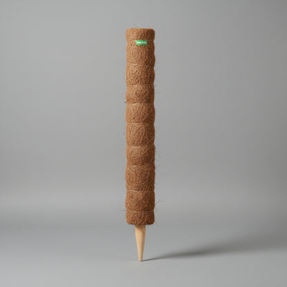 عمود الطحلب 90 سم