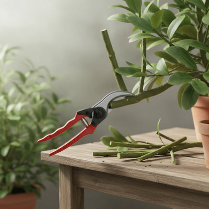 Pruning shear.