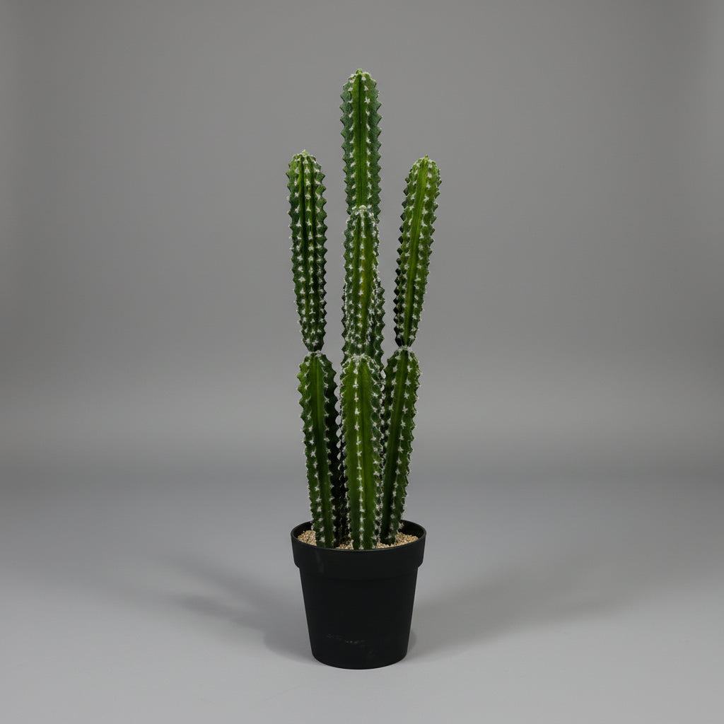 Artificial Cactus