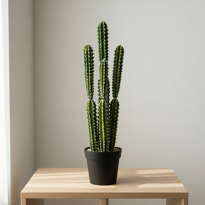 Artificial Cactus