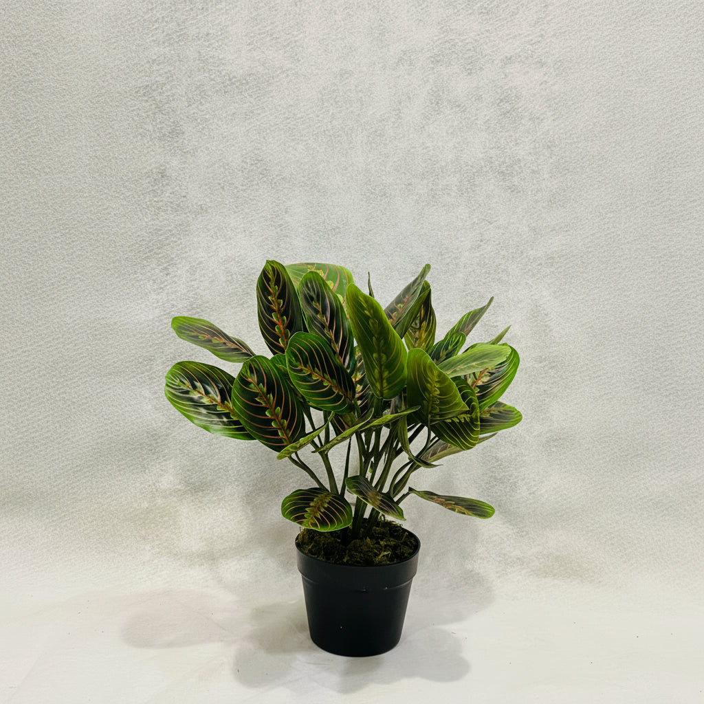 Artificial Marantha Leuconeura