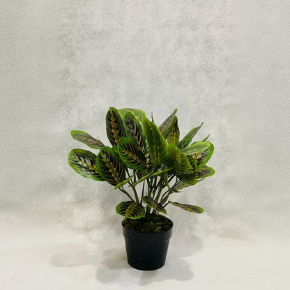 Artificial Marantha Leuconeura