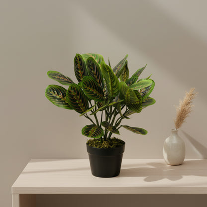 Artificial Marantha Leuconeura