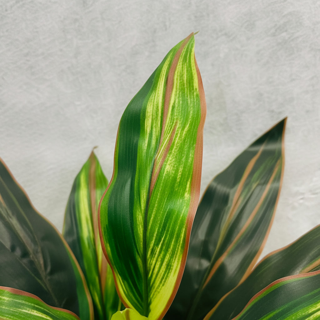 Artificial Cordyline Kiwi 60cm