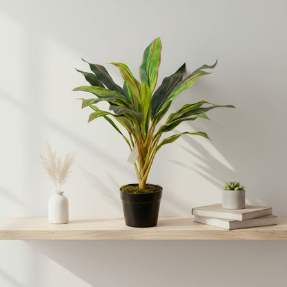 Artificial Cordyline Kiwi 60cm