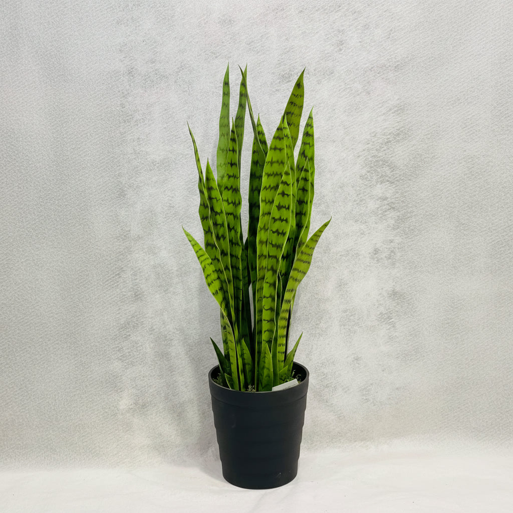 Artificial Sansaveria Green  94cm