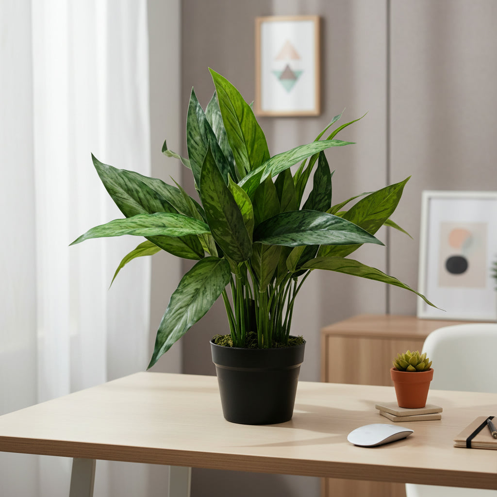 Artificial Aglaonema Varigated 50cm